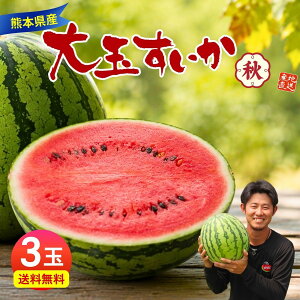 �y �y�V�����L���O1�� �z�H�X�C�J ���c ��� �F�{ 3�ʃZ�b�g 1�ʂ�����7�`8kg 2L�T�C�Y �X�C�J ������ ���Z ���Y �F�{���Y ��B �킠�� �Â� �W���[�V�[ �Y�n���� ������ �����񂹃t���[