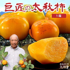 送料無料 【 楽天ランキング1位 】 太秋柿 柿 甘柿 福岡 秀品 巨匠の太秋柿 1箱 約2kg (5〜7玉入) 2L～Lサイズ 農家 産地 直送 サクサク 梨食感 数量限定 人気 うきは kaki 種が少ない 露地栽培 お取り寄せ プレゼント たいしゅうがき 大秋柿 まるかじり九州