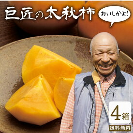 送料無料 【 楽天ランキング1位 】 太秋柿 柿 甘柿 福岡 秀品 巨匠の太秋柿 4箱セット 1箱あたり約2kg (5〜7玉入) 2L～Lサイズ 農家 産地 直送 サクサク 梨食感 数量限定 人気 うきは kaki 種が少ない 露地栽培 お取り寄せ 贈答 たいしゅうがき 大秋柿 まるかじり九州