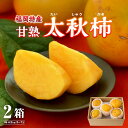 送料無料 【 楽天ランキング1位 】 太秋柿 福岡 柿 甘柿 甘熟 太秋柿 2箱セット 1箱あたり約2kg 秀品 L～2L 農家 産地 直送 平均糖度17度 富有柿 より サクサク 甘い 太秋 種が少ない 人気 希少品種 うきは 大秋柿 kaki プレゼント ギフト 贈答 39ショップ