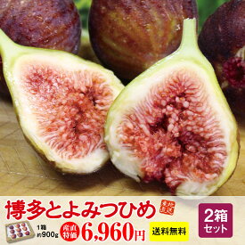 楽天市場 甘い イチジクの通販