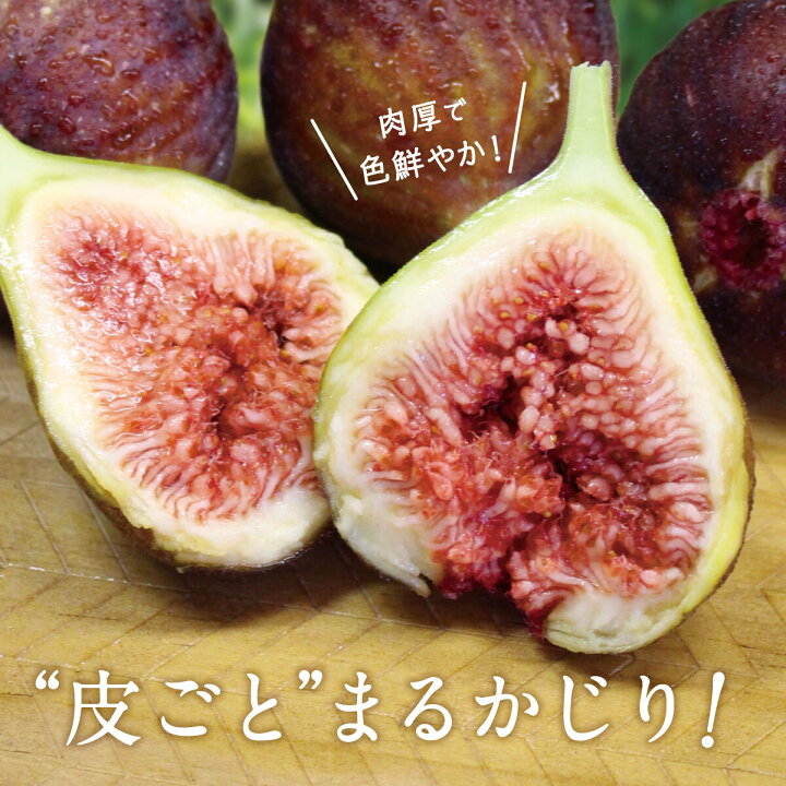No 650 朝採り完熟いちじく イチジク 大阪府 無花果 送料無料