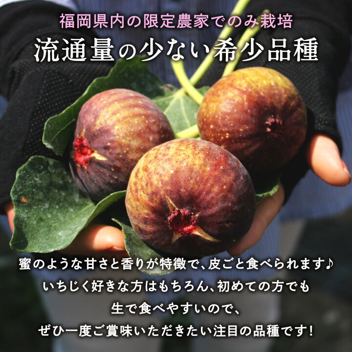 福岡プレミアムいちじく とよみつひめ 約300g 4パック 福岡 鉄分 大粒 いちじく 八女市 九州 無花果 フルーツ くだもの 送料無料 イチジク 果物 ジャム コンポート ポリフェノール お取り寄せ