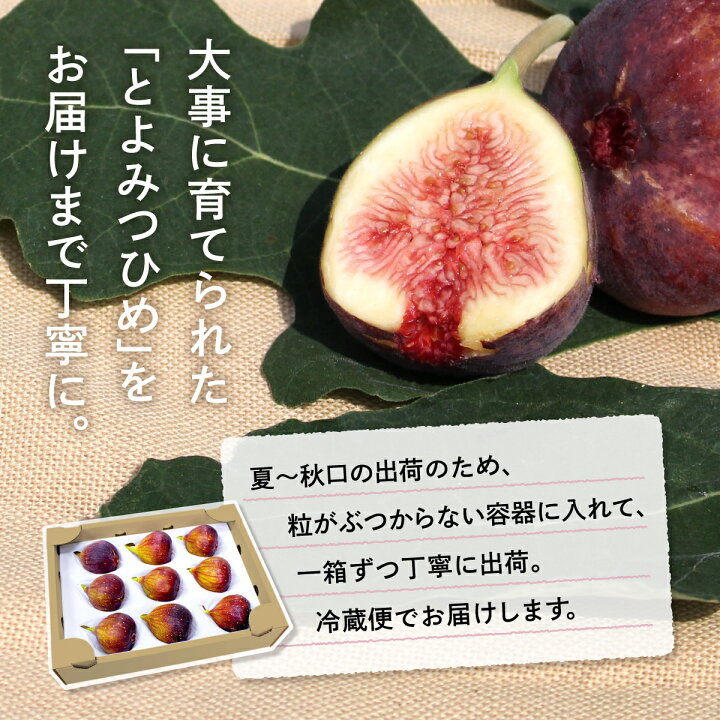 No 650 朝採り完熟いちじく イチジク 大阪府 無花果 送料無料