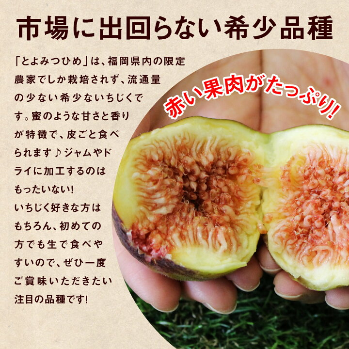 楽天市場 いちじく 福岡 とよみつひめ 秀品 5箱 約900g 5箱セット 送料無料 博多とよみつひめ 完熟 朝採れ 生いちじく 無花果 いちぢく イチジク 青果 産地直送 産直フルーツ 甘い 平均糖度17度 人気 おすすめ 贈り物 まるかじり九州 楽天市場 いちじく 福岡 とよみつひめ 秀品 5箱 約900g 5箱セット 送料無料 博多とよみつひめ 完熟 朝採れ 生いちじく 無花果 いちぢく イチジク 青果 産地直送 産直フルーツ 甘い 平均糖度17度 人気 おすすめ 贈り物 まるかじり九州