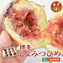 送料無料 【 楽天ランキング1位 】いちじく 博多 とよみつひめ 2箱セット 1箱あたり約800～900g (9玉もしくは12玉) と…