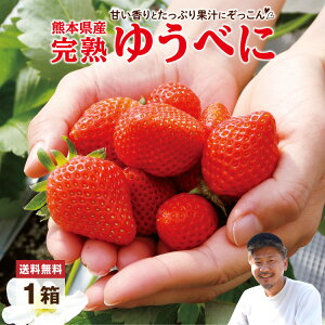  y yVLO1 z C`S 䂤ׂ F{ 1 350g 15   Fg Yn _ƒ Y B lC  n O t[c ʕ  Mtg t[cMt