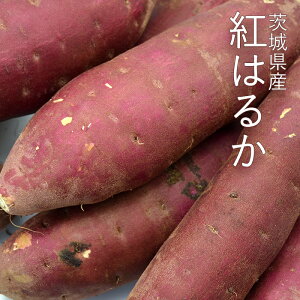 ܂ g͂邩 5kg ( 2L`MTCY ) sEM͔|t 錧Y