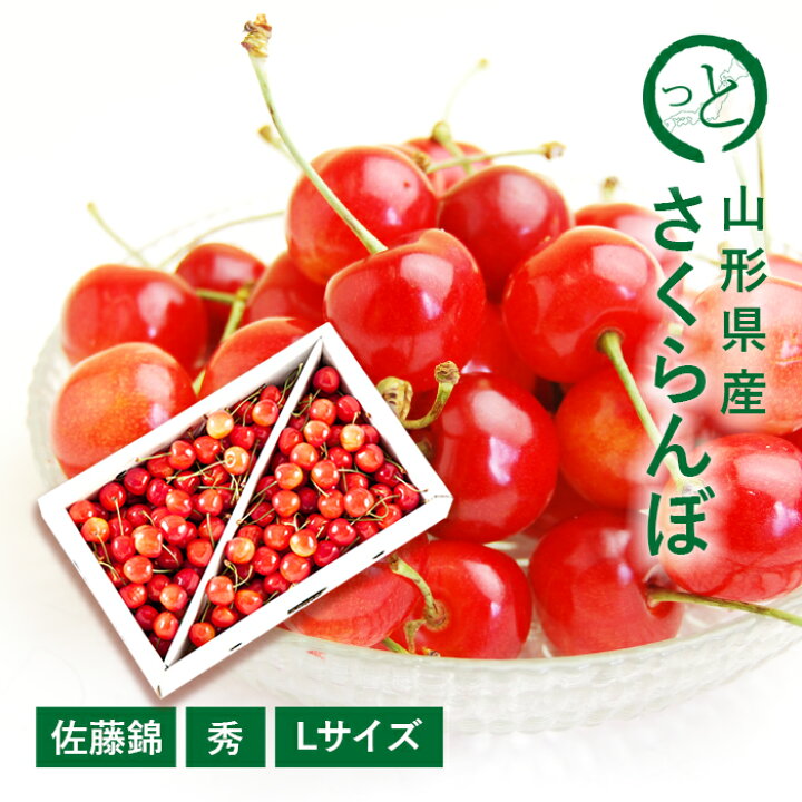 楽天市場】【贈答】さくらんぼ 佐藤錦 約1kg ( 秀 / Lサイズ / バラ 