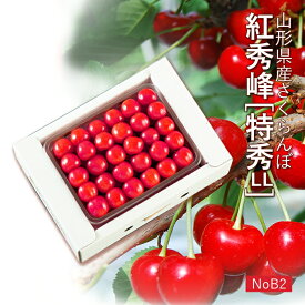 【贈答】さくらんぼ 紅秀峰 約500g ( 特秀 / LLサイズ / 並び詰め / 500g×1 ) 山形県産 [NoB2]