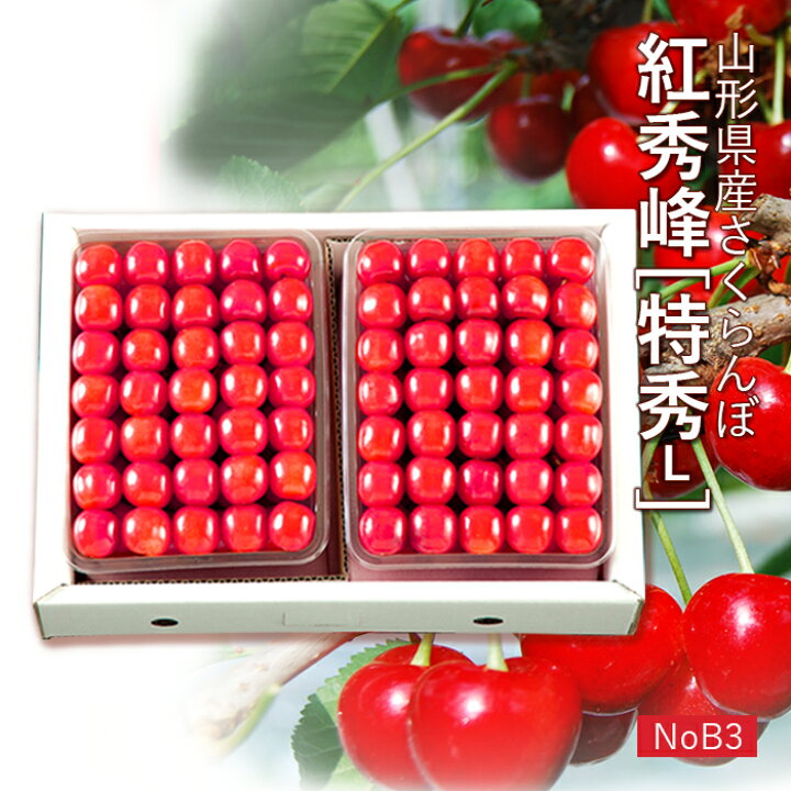 楽天市場】【贈答】さくらんぼ 紅秀峰 約1kg ( 特秀 / Lサイズ / 並び 