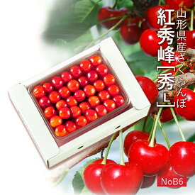 【贈答】さくらんぼ 紅秀峰 約500g ( 秀 / Lサイズ / 並び詰め / 500g×1 ) 山形県産 [NoB6]