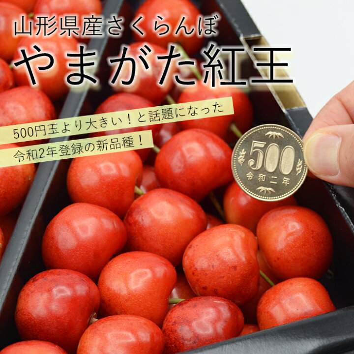 楽天市場】さくらんぼ やまがた紅王 ( べにおう ) 約700g [ 特秀 / 3L