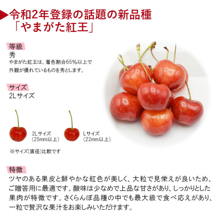 楽天市場】さくらんぼ やまがた紅王 ( べにおう ) 約700g [ 秀 / 2L 