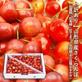 【訳あり】さくらんぼ 約1kg 【2箱買うと送料無料】 山形県産 佐藤錦 紅秀峰 紅てまり 大将錦