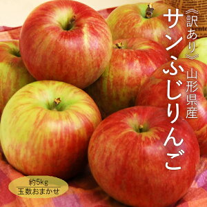 y󂠂zTӂ 5kgi ʐ܂ jR`Y