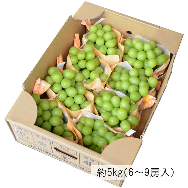 楽天市場】ぶどう シャインマスカット 約5kg ( 6〜9房 ) 《産地 