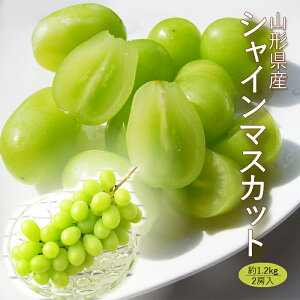Ԃǂ VC}XJbg 1.2kg i 2[ j R`Y
