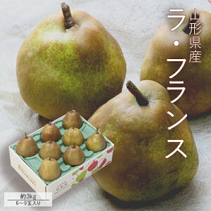 tX 3kg ( 6`9ʓ ) G5L`3L [No2] R`Y