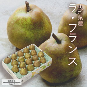 tX 5kg ( 18ʓ ) G2L [No3] R`Y