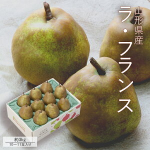 tX 3kg ( 10`11ʓ ) G2L [No4] R`Y