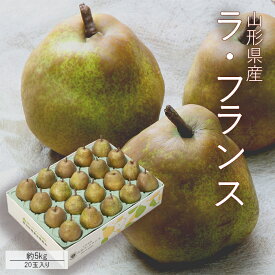 楽天市場 ラフランス 価格の通販