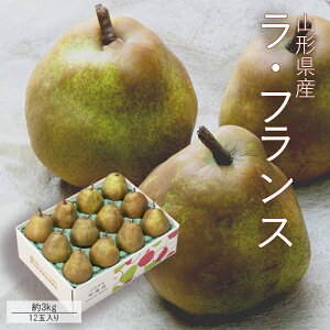 tX 3kg ( 12ʓ ) GL [No6] R`Y