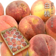 【訳あり】 白桃 約5kg ( 16〜22玉 ) 山形県産
