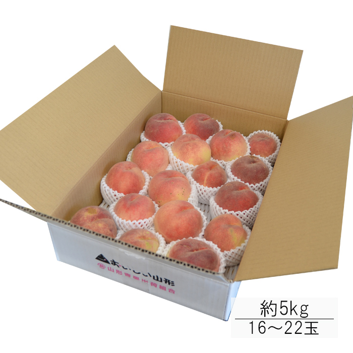 人気絶頂 《訳あり》山形県産白桃 約5kg（ 16〜22玉 ） 桃