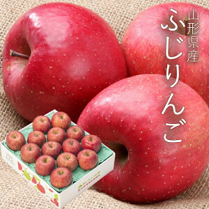 ӂ  5kg ( 12`16 ) [ap01] R`Y