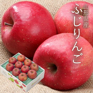 ӂ  3kg ( 8`11 ) [ap03] R`Y