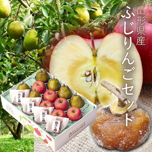 ӂ 6EtX 6Eg` 4pbN [ap04] R`Y