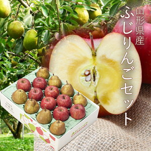 ӂ񂲁EtX  5kg ( e7`8 ) [ap05] R`Y