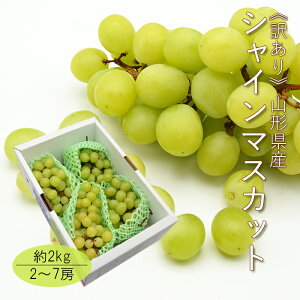 y󂠂zԂǂ VC}XJbg 2kg i 2`7[ / [܂ jR`Y