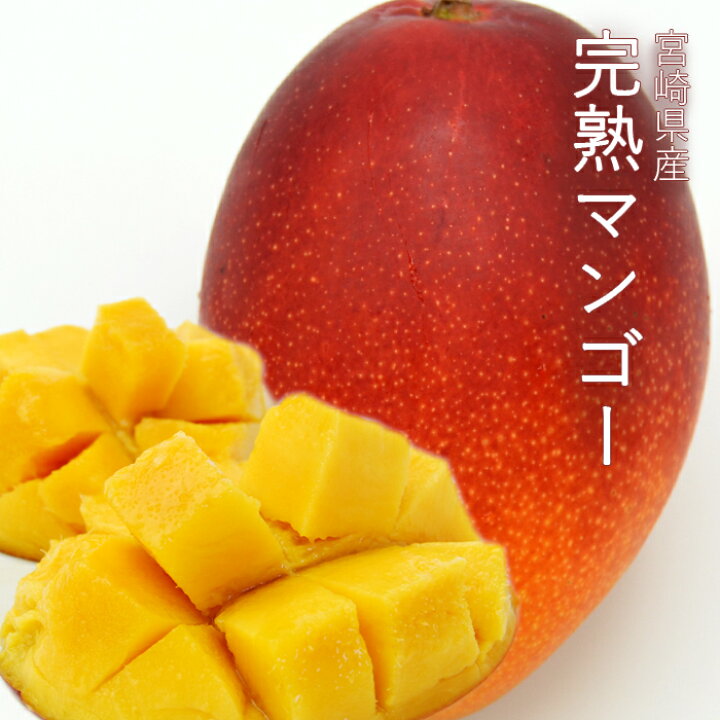 楽天市場】宮崎県産 完熟マンゴー 約350g(2Lサイズ 1玉)【送料無料 