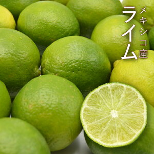 ライム 約5kg ( 40〜48個 ) メキシコ産