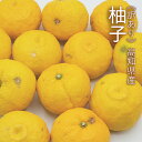 《訳あり》高知県産 柚子 ( ゆず )12～18玉