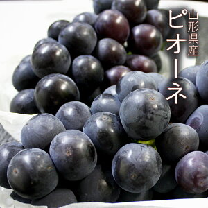Ԃǂ sI[l  2kg ( 2`6[ ) R`Y
