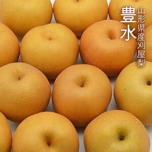  ( Ȃ ) L ( ق ) 5kg i 16`18 jR`Y