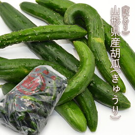 楽天市場 訳あり キュウリ 野菜 きのこ 食品の通販