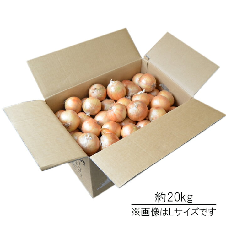 楽天市場】北海道産 玉ねぎ 約20kg（ 2L〜Lサイズ / 55玉〜95玉  