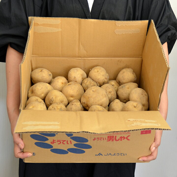 楽天市場】《産地おまかせ》国産 じゃがいも 約10kg （ Lサイズ 
