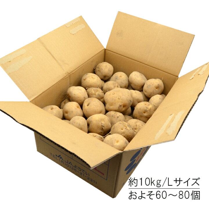 楽天市場】《産地おまかせ》国産 じゃがいも 約10kg （ Lサイズ 