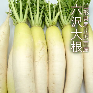 Z ( 낭 ) 卪 10kg ( 10{ ) R` ԑsY