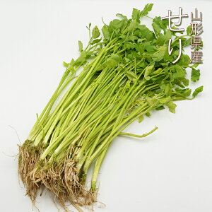 R`Y  3kg ( 100g×30ܓ )