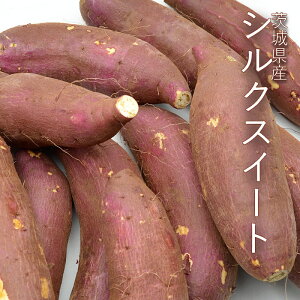 ܂ VNXC[g 5kg ( 2L`MTCY )sEM͔|t 錧Y