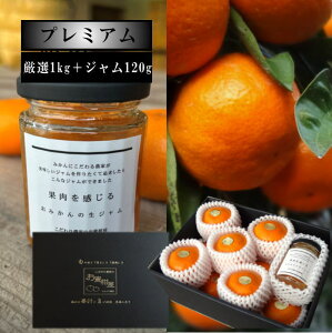 yNEWzy12/04/8:00`12/11/1:59VLO3680~3600~zyΕzcۂƉʓ鐶W̊n݂喞iMtg@̉ϔij@Iv~A