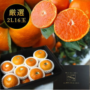 ys\tzyΕzZn}`̂ucہv@̉ϔij@2LTCY@16ʓ@Iv~A