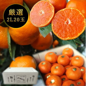 Zn}`̂ucہv@̃Mtg@2LTCY@20ʓ@Iv~A