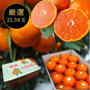 Zn}`̂ucہv@M[@2LTCY@30ʓ@Iv~A